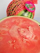 云南吃瓜什么季节最好  第2张