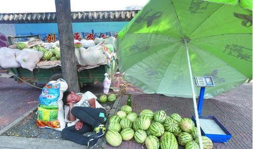 河溪镇吃瓜,瓜香四溢，品味乡村田园生活  第1张