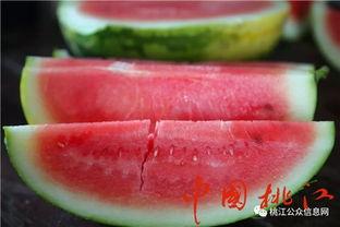 河溪镇吃瓜,瓜香四溢，品味乡村田园生活  第2张