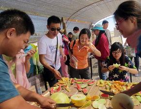 吃瓜协会团队,揭秘娱乐圈幕后故事，带你领略娱乐风云  第2张