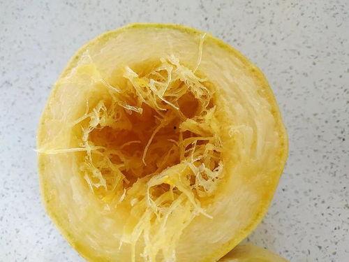 鱼翅瓜做什么吃,探索创意烹饪新境界  第3张