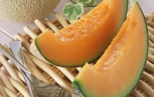 吃哈密瓜和白瓜嘴麻,揭秘嘴麻的秘密  第2张