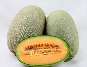 吃哈密瓜和白瓜嘴麻,揭秘嘴麻的秘密  第3张