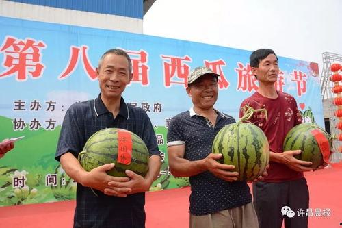 许昌学院 吃瓜,揭秘校园“吃瓜”文化背后的故事  第2张