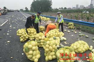 许昌学院 吃瓜,揭秘校园“吃瓜”文化背后的故事  第3张