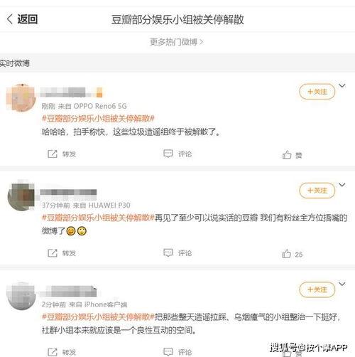 豆瓣ning在线吃瓜,ning在线吃瓜，揭秘娱乐圈幕后真相  第2张