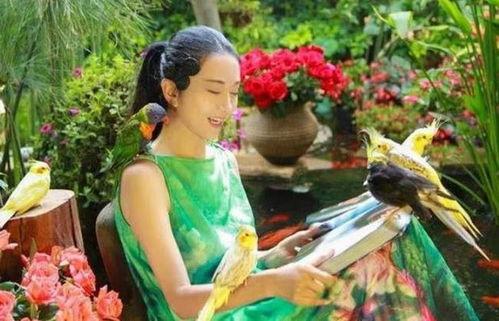 人间吃瓜作品,揭秘娱乐圈幕后真相  第2张