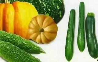 人间吃瓜作品,揭秘娱乐圈幕后真相  第3张