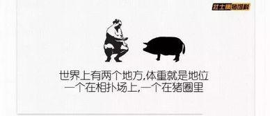 吃瓜喝茶文案搞笑短句,吃瓜喝茶，短句狂欢  第1张