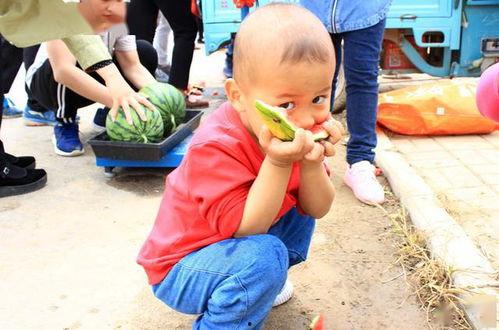 山东卖楼吃瓜  第1张