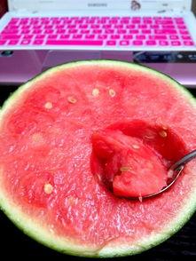 400页吃瓜,娱乐圈幕后真相全解析