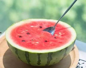 吃瓜养老记,笑谈岁月，乐享晚年  第3张