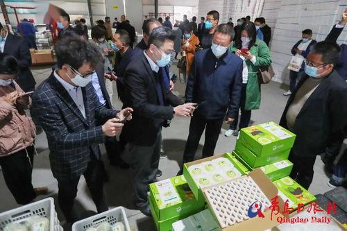 莱西吃瓜动态  第3张