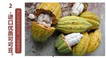 吃梨瓜可以吃巧克力吗