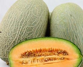 初秋吃哈密瓜,尽享哈密瓜的甘甜诱惑  第3张