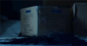 帝师直播吃瓜视频,一场吃瓜盛宴背后的真相  第2张