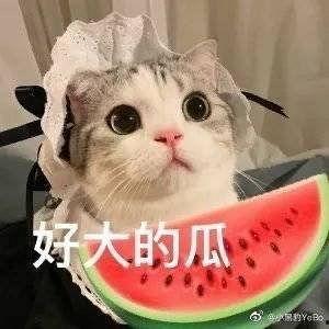 宅斗吃瓜,吃瓜群众围观豪门盛宴  第3张