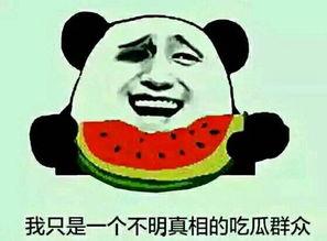 如何判断吃瓜群众,如何辨别并融入这场全民盛宴  第2张