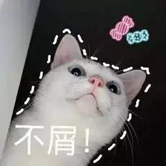 饭圈吃瓜去哪里吃,探寻最佳“瓜田”体验指南  第3张