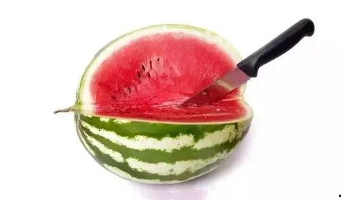 怎么吃瓜显得高端,尽显高端格调的吃瓜艺术  第3张