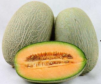 谁在吃哈密瓜,揭秘谁在品尝甜蜜的哈密瓜  第1张